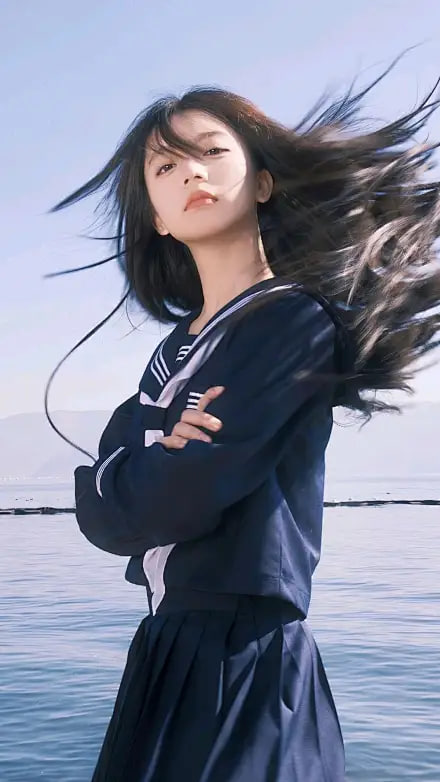 南岸折柳2024海报